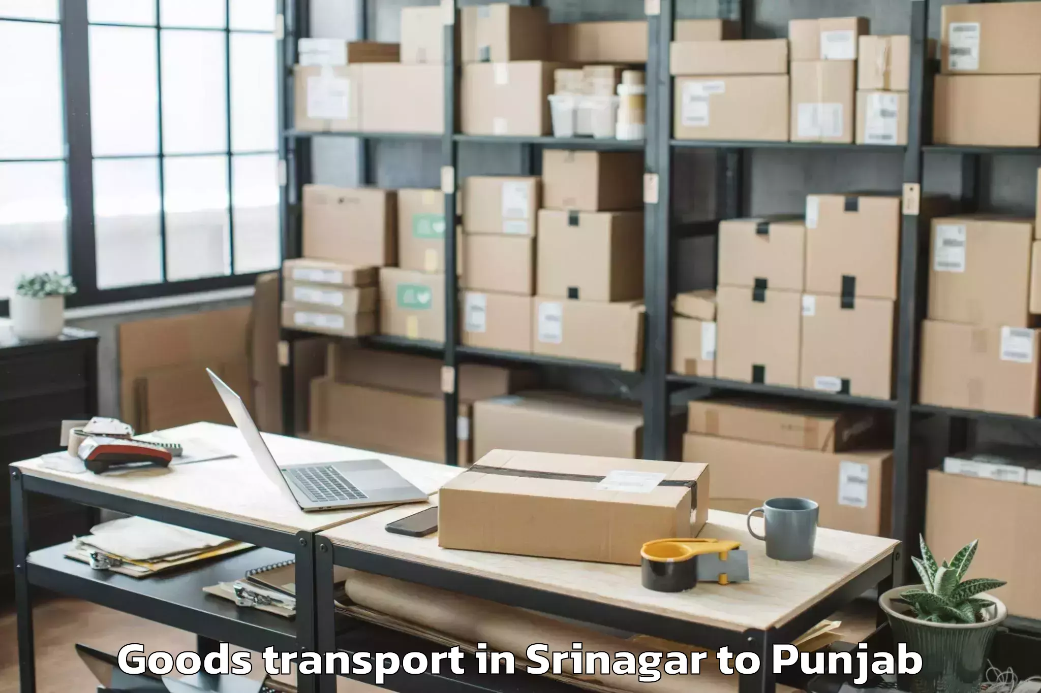 Book Your Srinagar to Patera Goods Transport Today